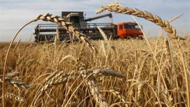 هيئة السلع التموينية تعلن عن مناقصة لشراء القمح بتمويل من البنك الدولي