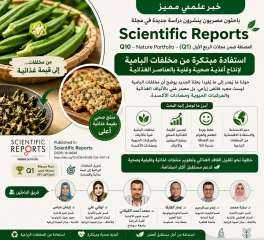 فريق بحثى ينجح فى تحويل مخلفات البامية إلى مكونات غذائية ذات قيمة عالية يمكن استخدامها في إنتاج منتجات صحية مدعمة بالألياف والعناصر الغذائية